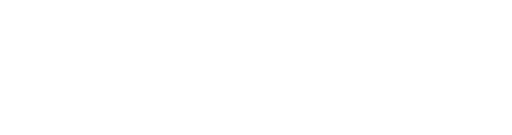 CYBRI Logo